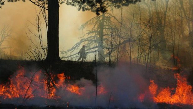 Controlled burn to be held Thursday at High Park